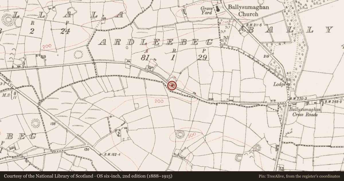 Ordnance Survey six-inch map, 2nd edition (1888–1915) covering the location of Hut site, Ardleebeg, County Sligo, with a pin at the register's coordinates