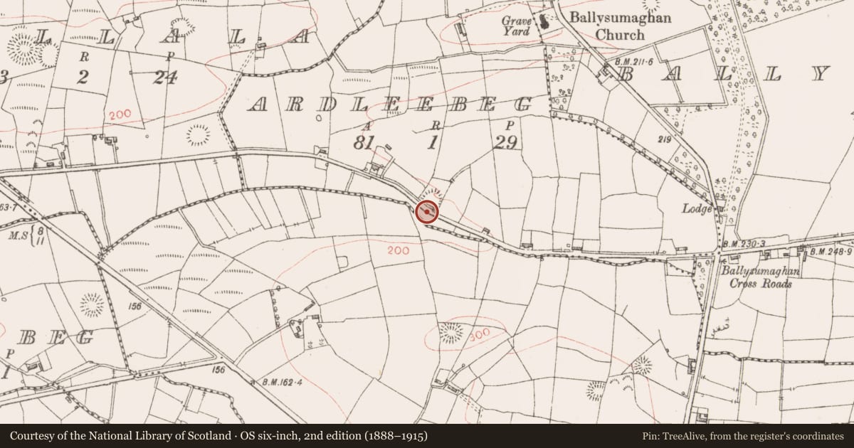 Ordnance Survey six-inch map, 2nd edition (1888–1915) covering the location of Anomalous stone group, Ardleebeg, County Sligo, with a pin at the register's coordinates