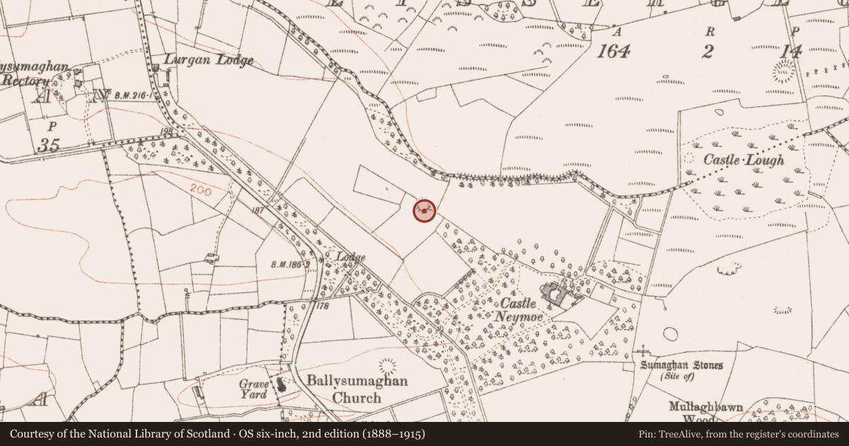 Ordnance Survey six-inch map, 2nd edition (1888–1915) covering the location of Ringfort - rath, Ballysumaghan, County Sligo, with a pin at the register's coordinates