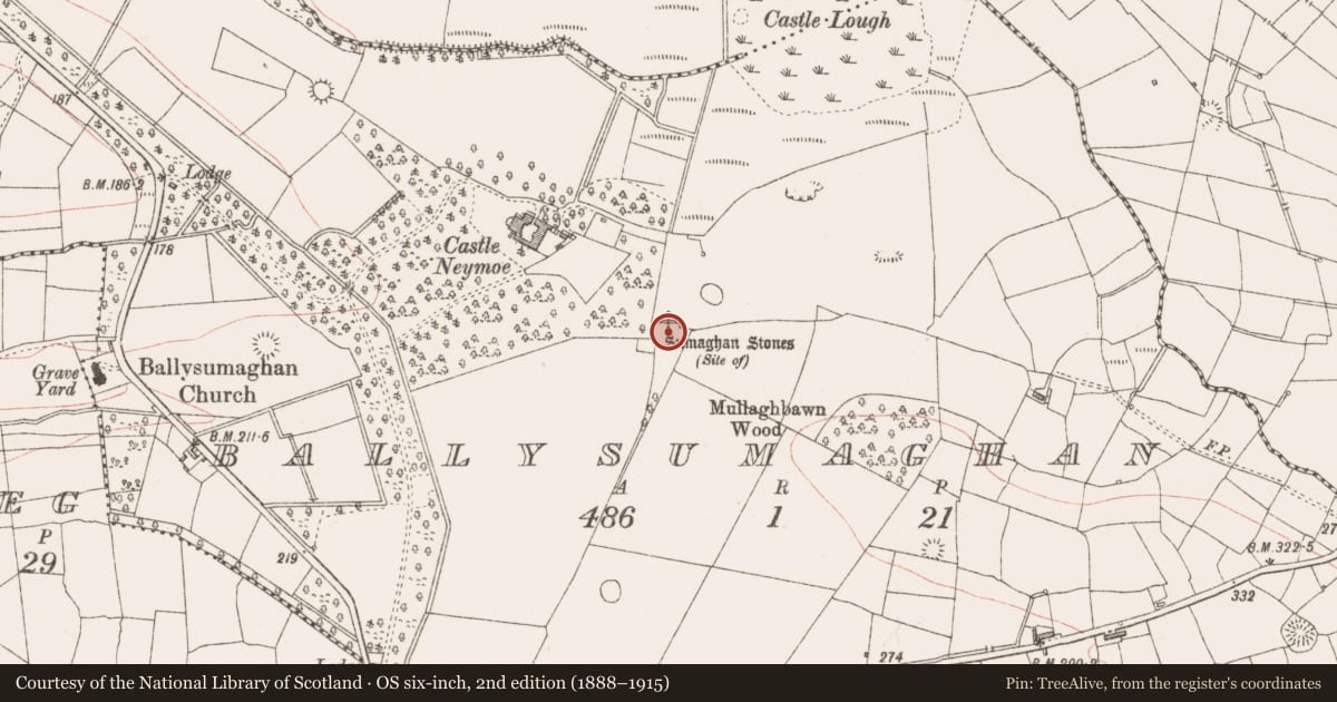 Ordnance Survey six-inch map, 2nd edition (1888–1915) covering the location of Cursing stone, Ballysumaghan, County Sligo, with a pin at the register's coordinates