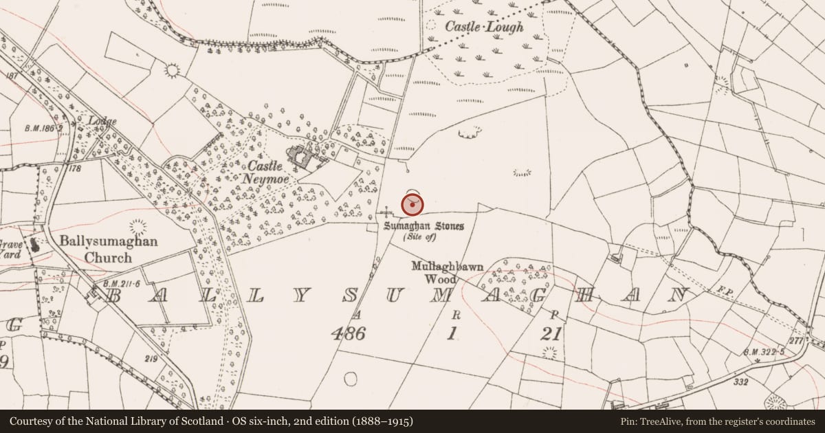 Ordnance Survey six-inch map, 2nd edition (1888–1915) covering the location of Enclosure, Ballysumaghan, County Sligo, with a pin at the register's coordinates