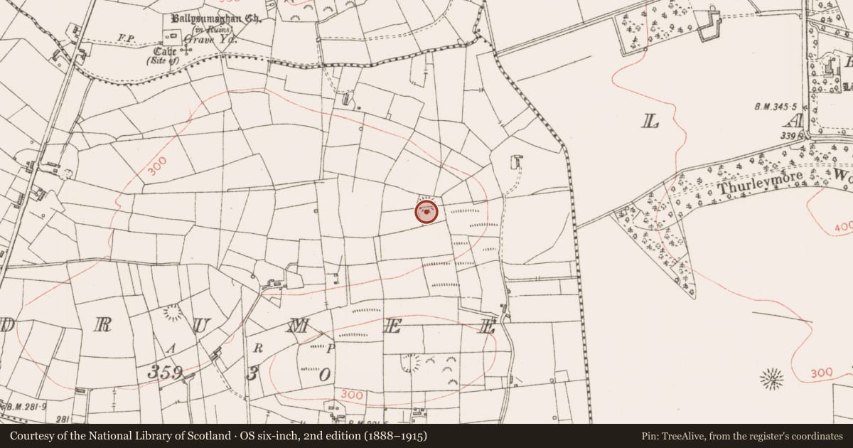 Ordnance Survey six-inch map, 2nd edition (1888–1915) covering the location of Ringfort - rath, Drumee, County Sligo, with a pin at the register's coordinates