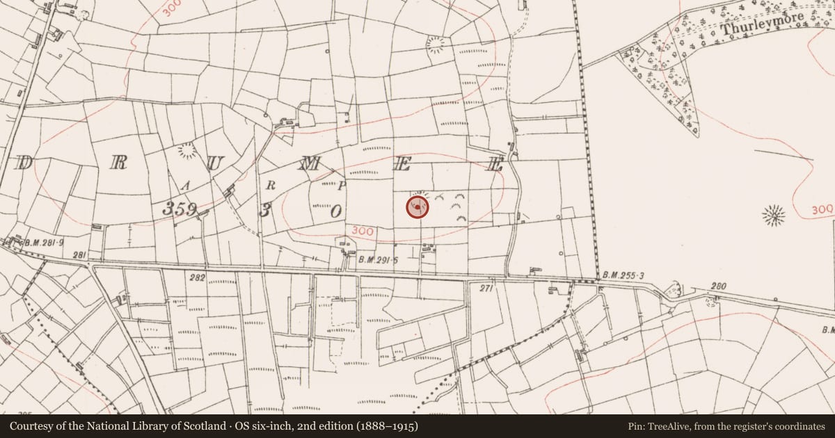 Ordnance Survey six-inch map, 2nd edition (1888–1915) covering the location of Ringfort - rath, Drumee, County Sligo, with a pin at the register's coordinates