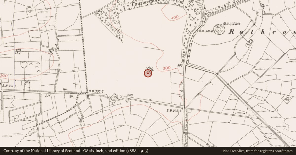 Ordnance Survey six-inch map, 2nd edition (1888–1915) covering the location of Ringfort - rath, Lavally, County Sligo, with a pin at the register's coordinates