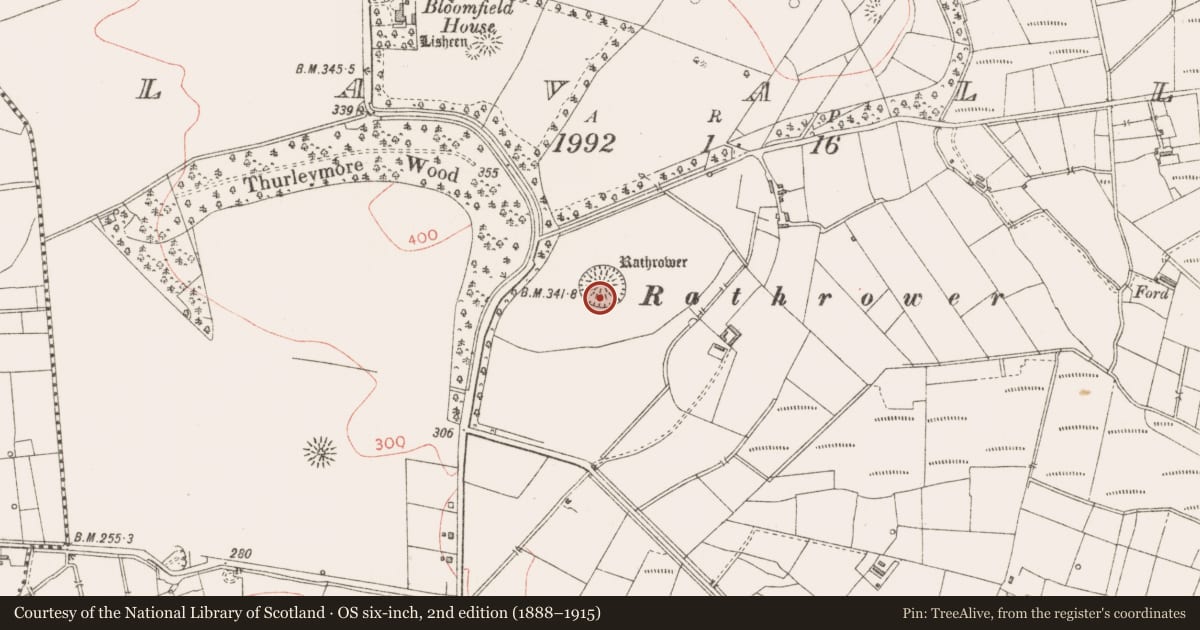 Ordnance Survey six-inch map, 2nd edition (1888–1915) covering the location of Ringfort - rath, Lavally, County Sligo, with a pin at the register's coordinates