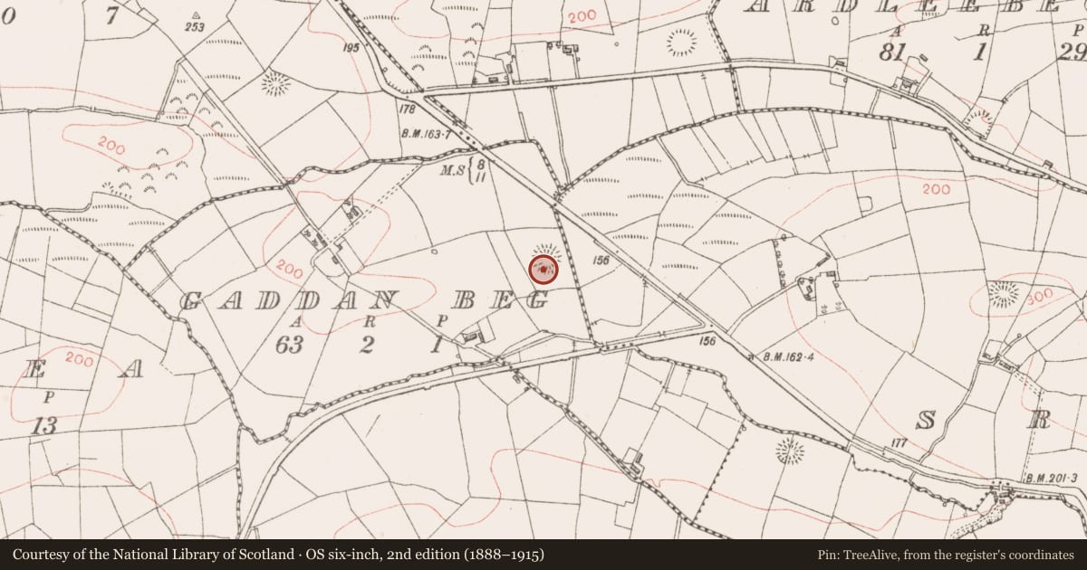 Ordnance Survey six-inch map, 2nd edition (1888–1915) covering the location of Ringfort - rath, Gaddan Beg, County Sligo, with a pin at the register's coordinates