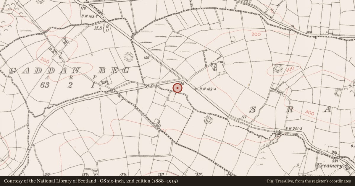 Ordnance Survey six-inch map, 2nd edition (1888–1915) covering the location of Ringfort - rath, Srananagh, County Sligo, with a pin at the register's coordinates
