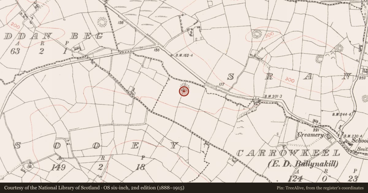 Ordnance Survey six-inch map, 2nd edition (1888–1915) covering the location of Ringfort - rath, Carrowkeel, County Sligo, with a pin at the register's coordinates