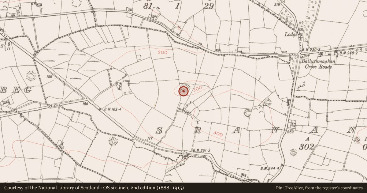 Ordnance Survey six-inch map, 2nd edition (1888–1915) covering the location of House - early medieval, Srananagh, County Sligo, with a pin at the register's coordinates