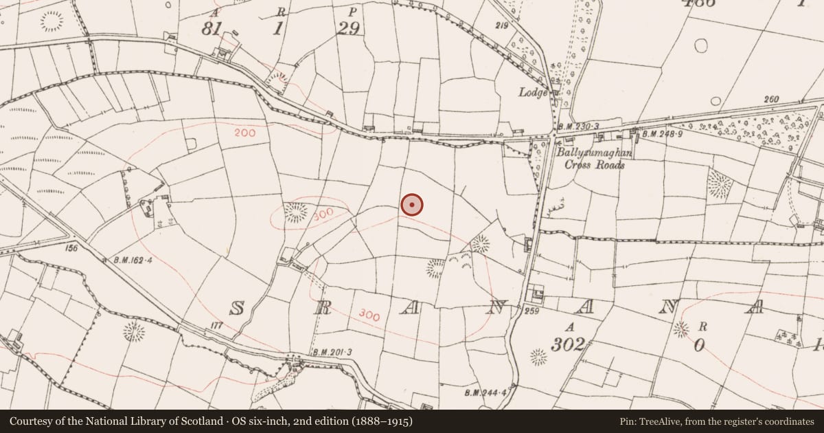Ordnance Survey six-inch map, 2nd edition (1888–1915) covering the location of Ringfort - rath, Srananagh, County Sligo, with a pin at the register's coordinates