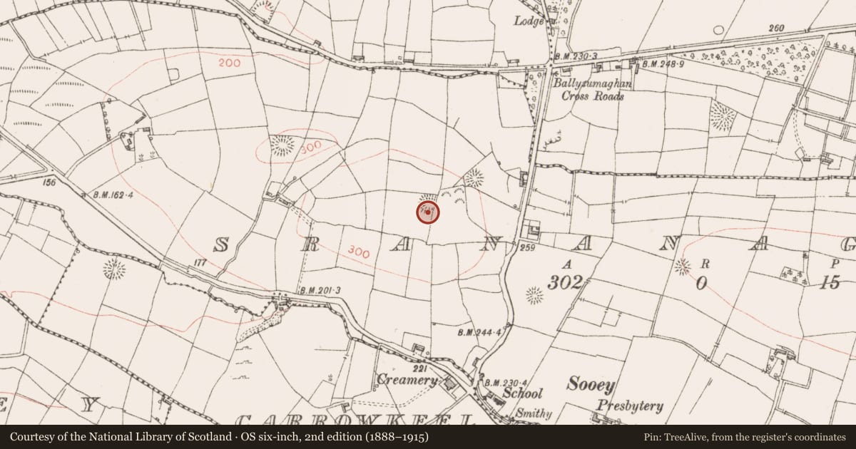 Ordnance Survey six-inch map, 2nd edition (1888–1915) covering the location of Ringfort - rath, Srananagh, County Sligo, with a pin at the register's coordinates