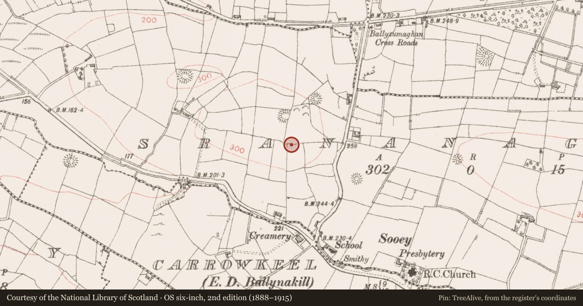 Ordnance Survey six-inch map, 2nd edition (1888–1915) covering the location of Ringfort - rath, Srananagh, County Sligo, with a pin at the register's coordinates