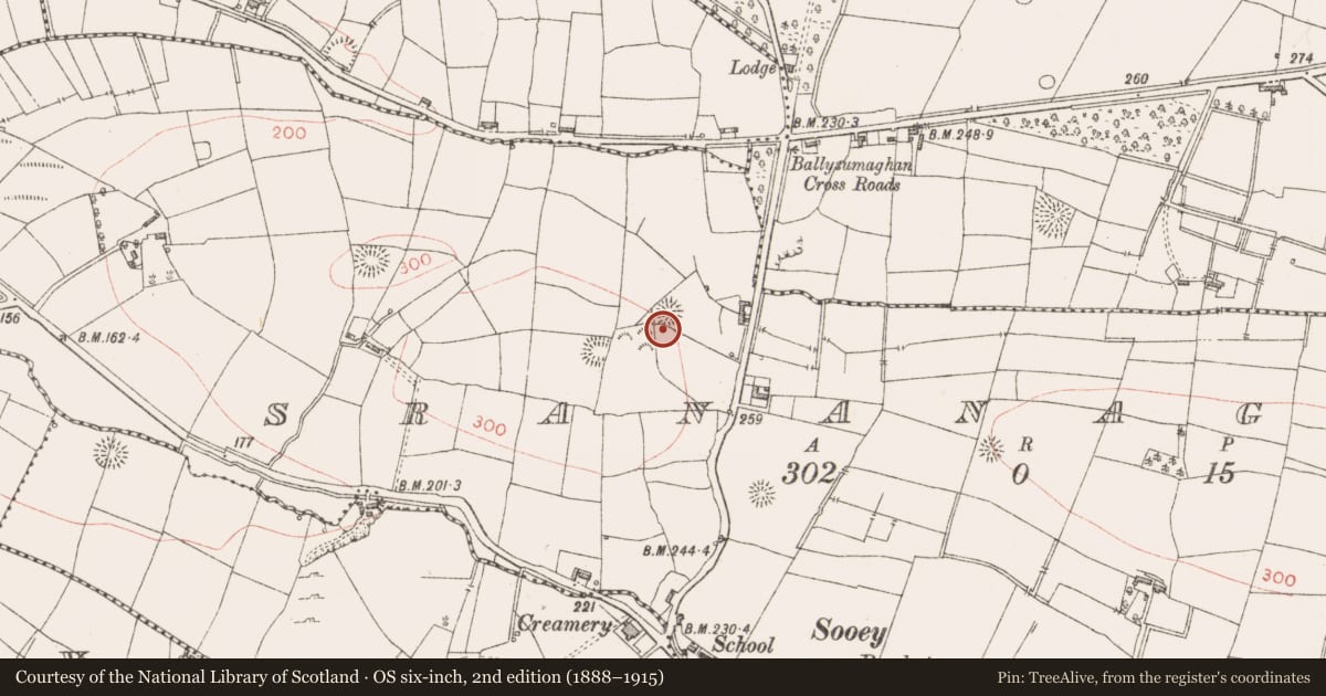 Ordnance Survey six-inch map, 2nd edition (1888–1915) covering the location of Ringfort - rath, Srananagh, County Sligo, with a pin at the register's coordinates