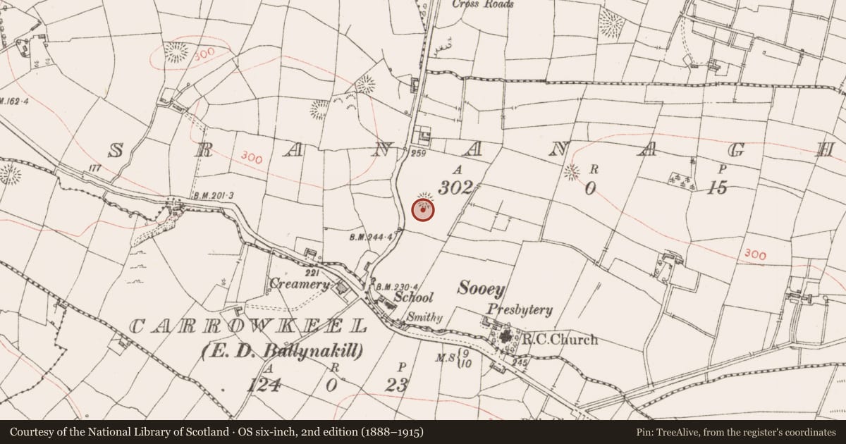 Ordnance Survey six-inch map, 2nd edition (1888–1915) covering the location of Ringfort - rath, Srananagh, County Sligo, with a pin at the register's coordinates
