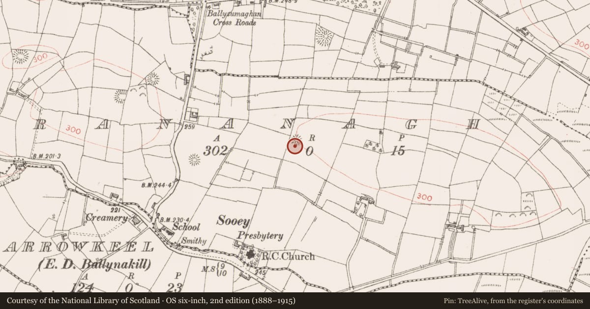 Ordnance Survey six-inch map, 2nd edition (1888–1915) covering the location of Ringfort - rath, Srananagh, County Sligo, with a pin at the register's coordinates