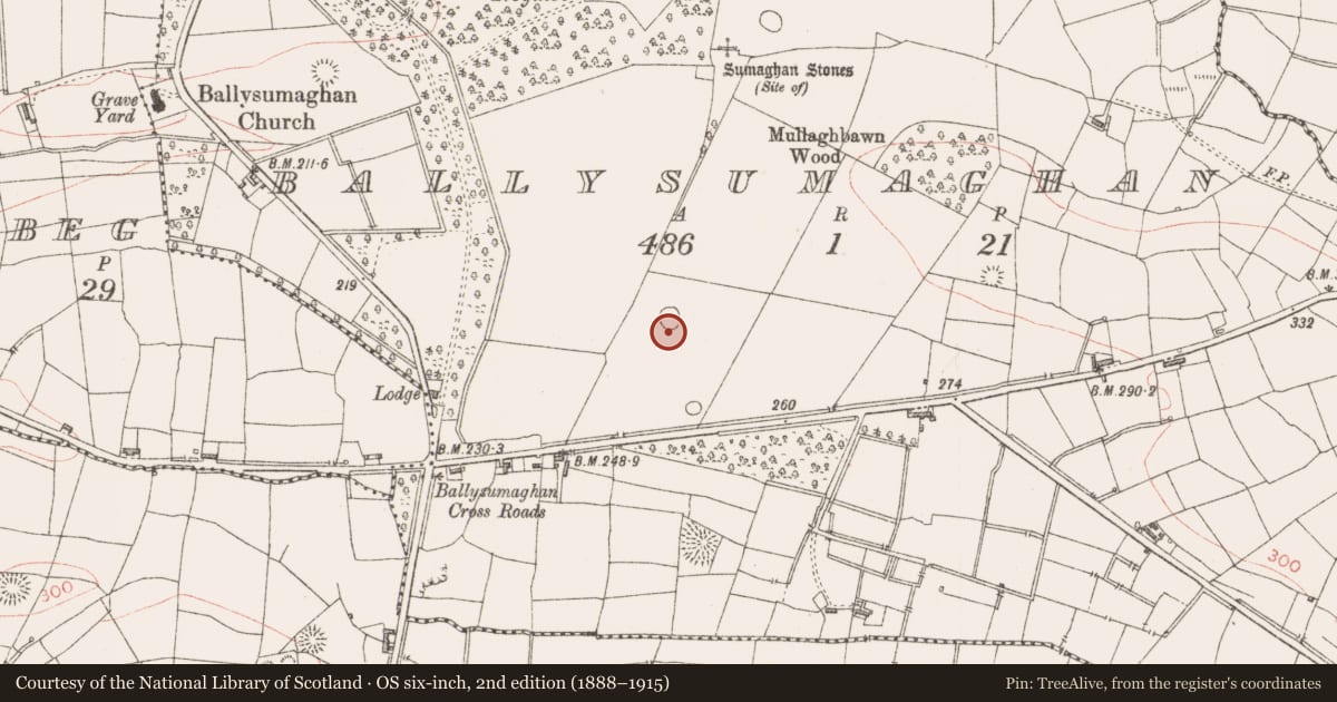 Ordnance Survey six-inch map, 2nd edition (1888–1915) covering the location of Ringfort - rath, Ballysumaghan, County Sligo, with a pin at the register's coordinates
