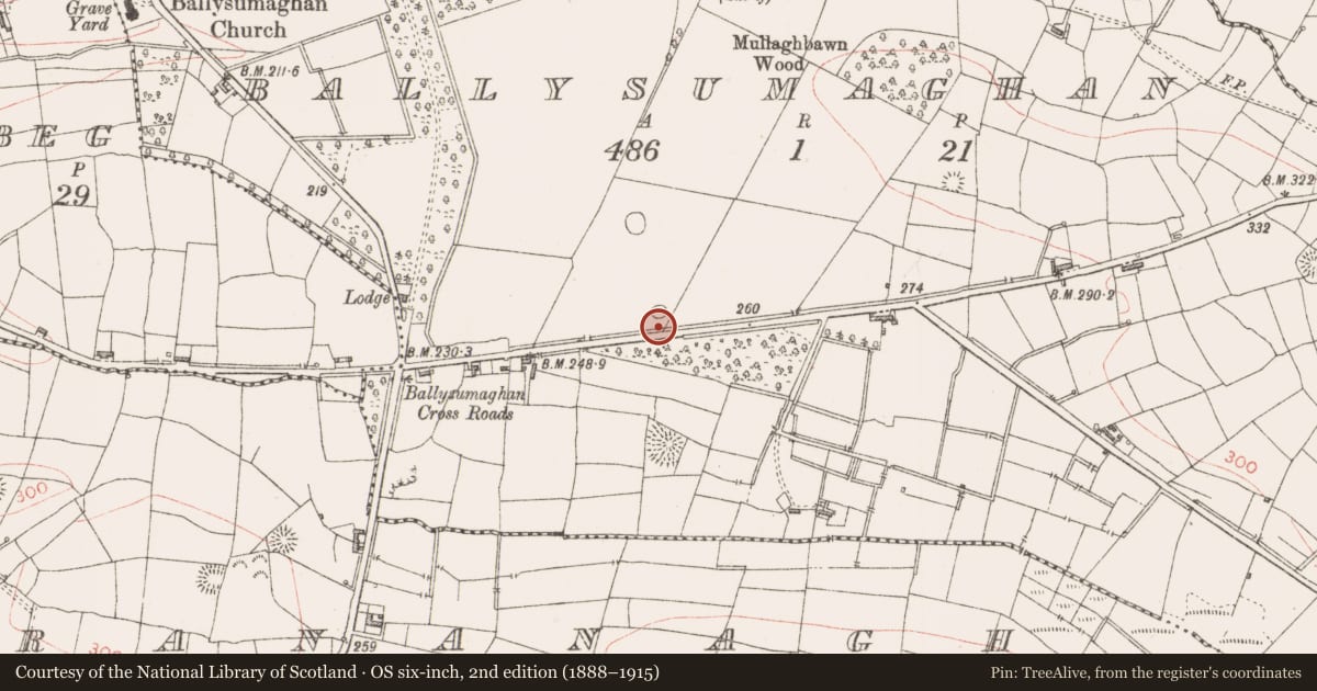 Ordnance Survey six-inch map, 2nd edition (1888–1915) covering the location of Enclosure, Ballysumaghan, County Sligo, with a pin at the register's coordinates