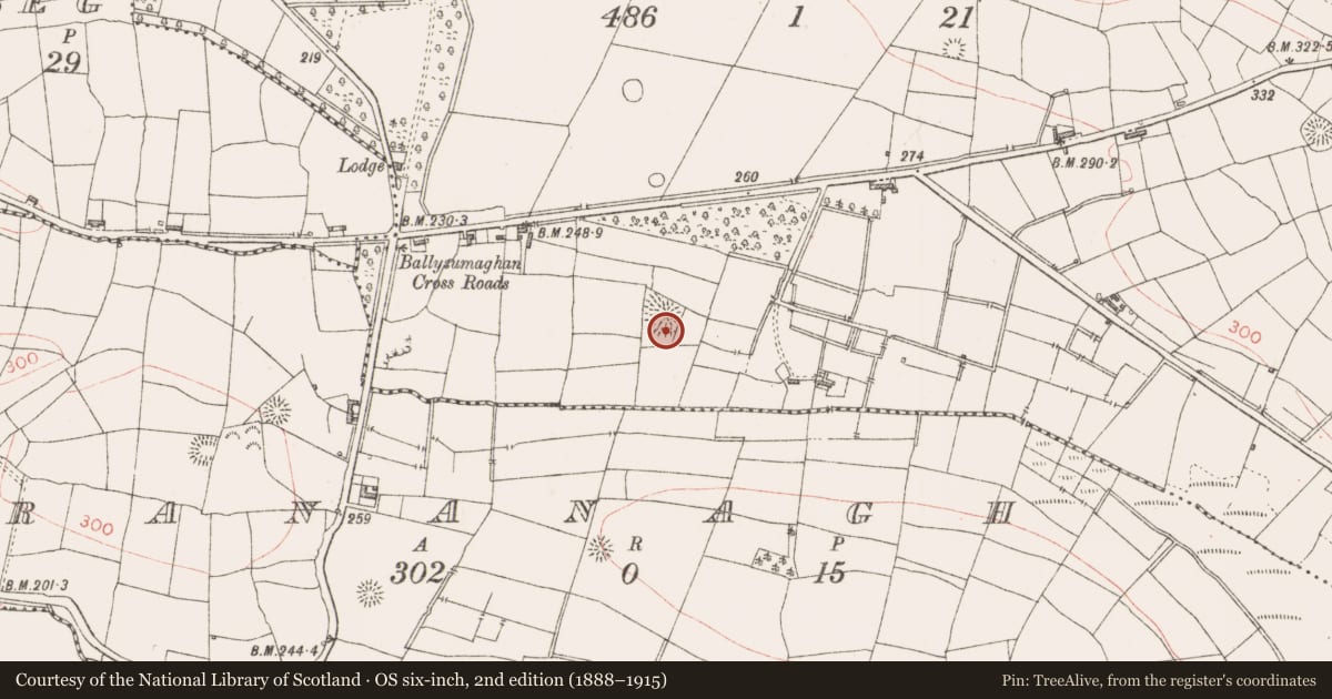 Ordnance Survey six-inch map, 2nd edition (1888–1915) covering the location of Ringfort - rath, Ballysumaghan, County Sligo, with a pin at the register's coordinates