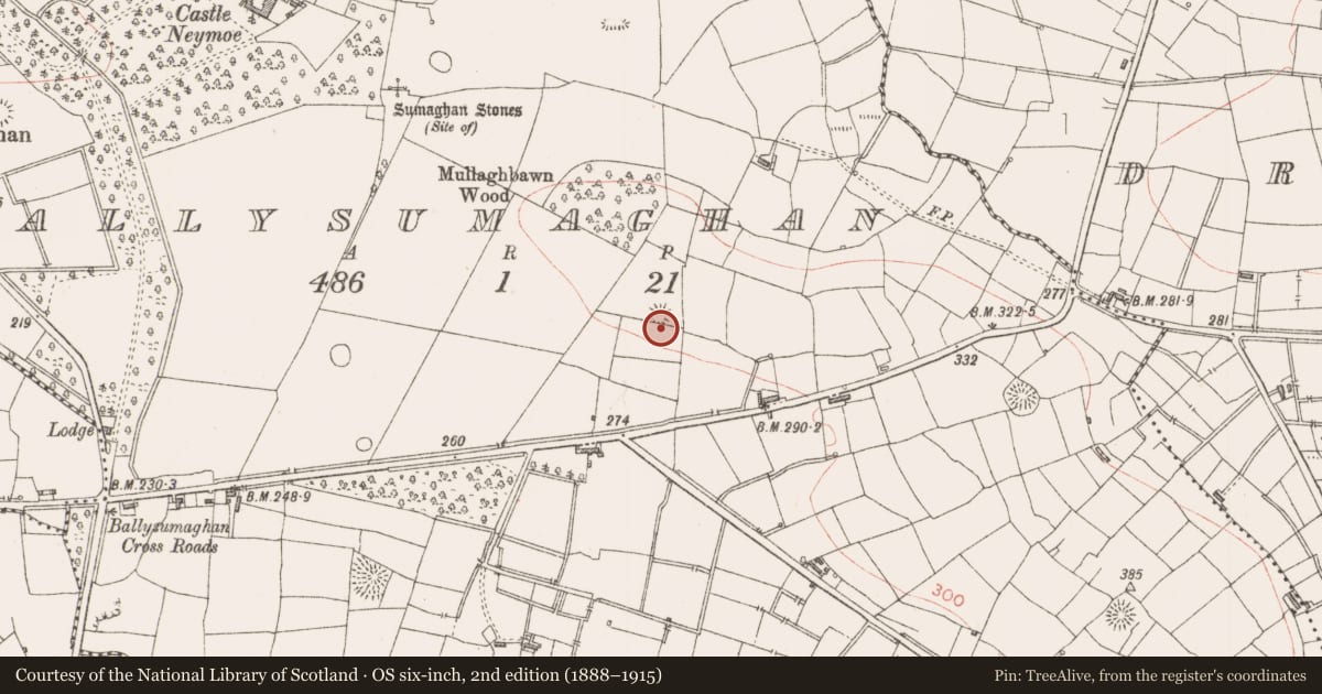 Ordnance Survey six-inch map, 2nd edition (1888–1915) covering the location of Enclosure, Ballysumaghan, County Sligo, with a pin at the register's coordinates