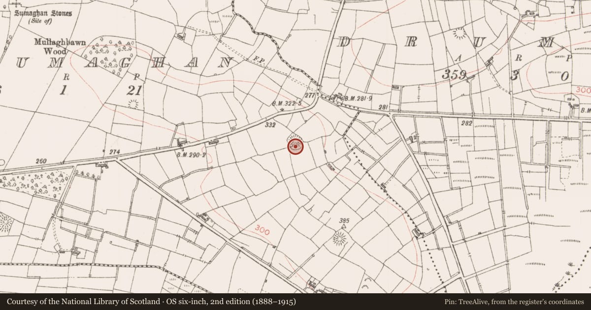 Ordnance Survey six-inch map, 2nd edition (1888–1915) covering the location of Ringfort - rath, Ballysumaghan, County Sligo, with a pin at the register's coordinates