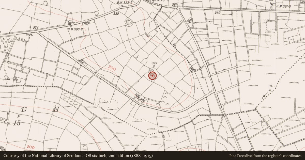 Ordnance Survey six-inch map, 2nd edition (1888–1915) covering the location of Ringfort - rath, Ballysumaghan, County Sligo, with a pin at the register's coordinates