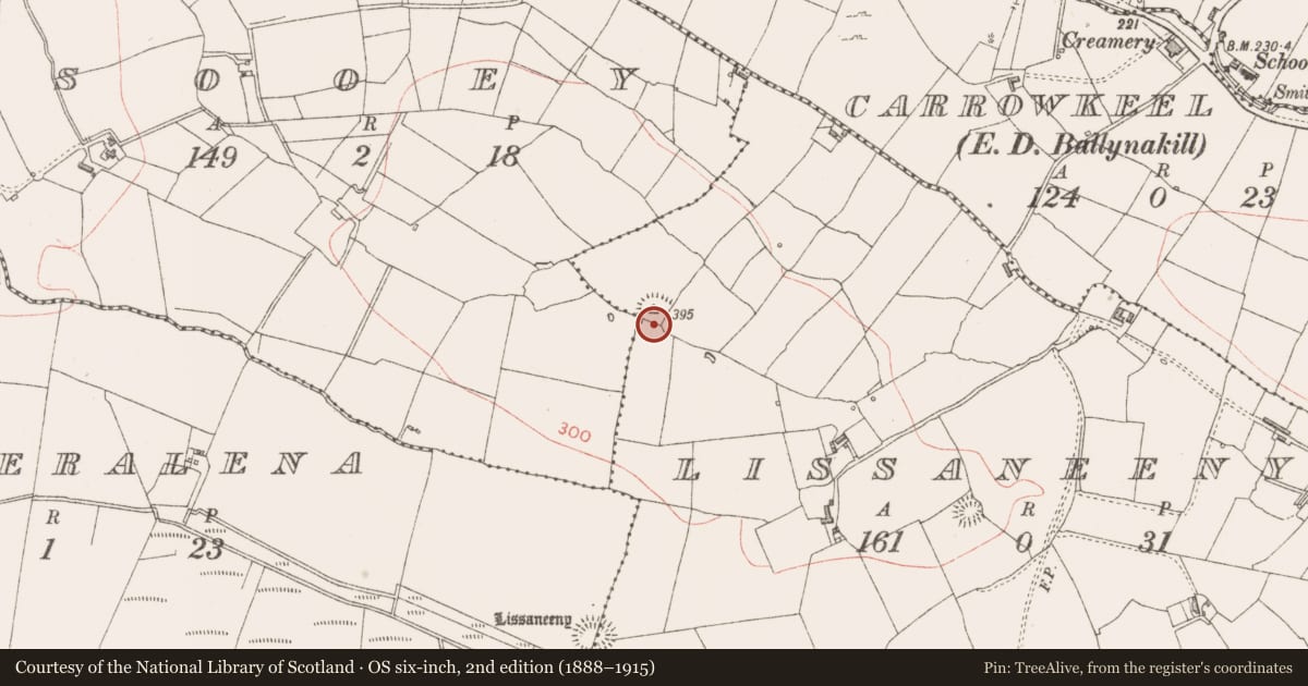 Ordnance Survey six-inch map, 2nd edition (1888–1915) covering the location of Ringfort - rath, Lissaneeny, County Sligo, with a pin at the register's coordinates