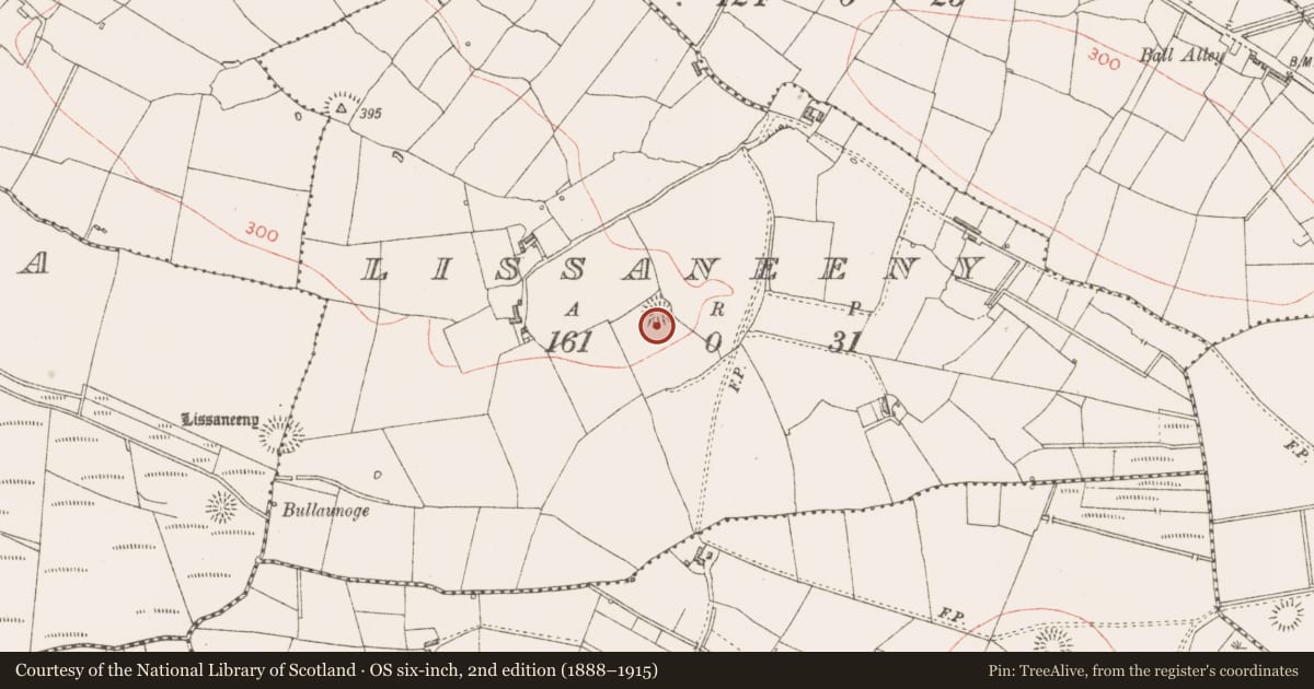 Ordnance Survey six-inch map, 2nd edition (1888–1915) covering the location of Ringfort - rath, Lissaneeny, County Sligo, with a pin at the register's coordinates