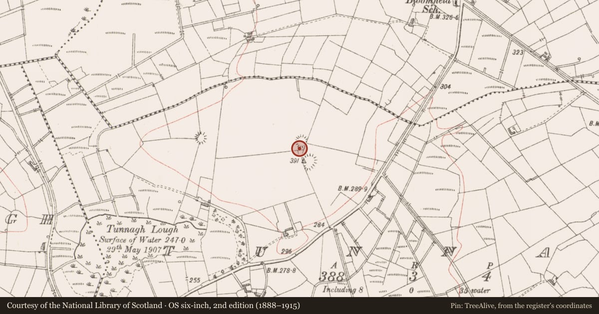 Ordnance Survey six-inch map, 2nd edition (1888–1915) covering the location of Ringfort - rath, Tunnagh, County Sligo, with a pin at the register's coordinates