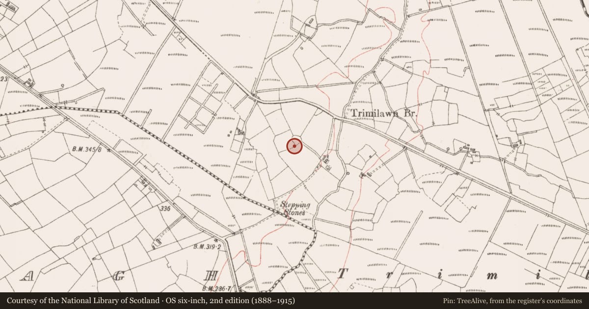 Ordnance Survey six-inch map, 2nd edition (1888–1915) covering the location of Ringfort - rath, Lavally, County Sligo, with a pin at the register's coordinates
