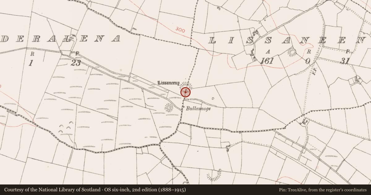 Ordnance Survey six-inch map, 2nd edition (1888–1915) covering the location of Ringfort - rath, Lissaneeny, Drumederalena, County Sligo, with a pin at the register's coordinates