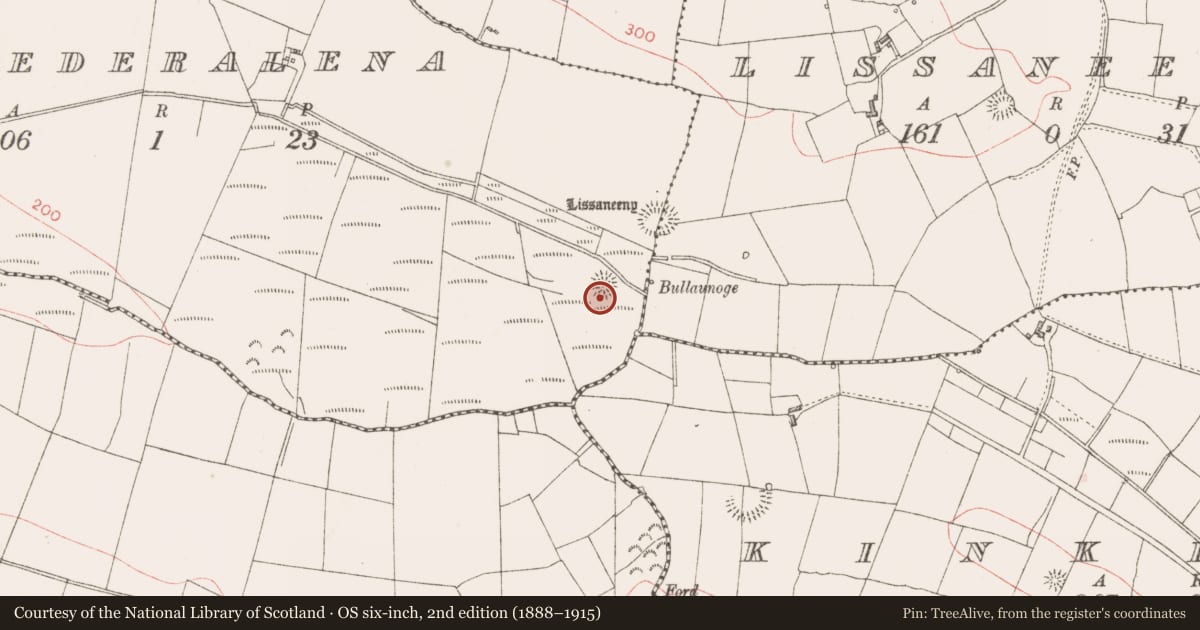 Ordnance Survey six-inch map, 2nd edition (1888–1915) covering the location of Ringfort - rath, Drumederalena, County Sligo, with a pin at the register's coordinates