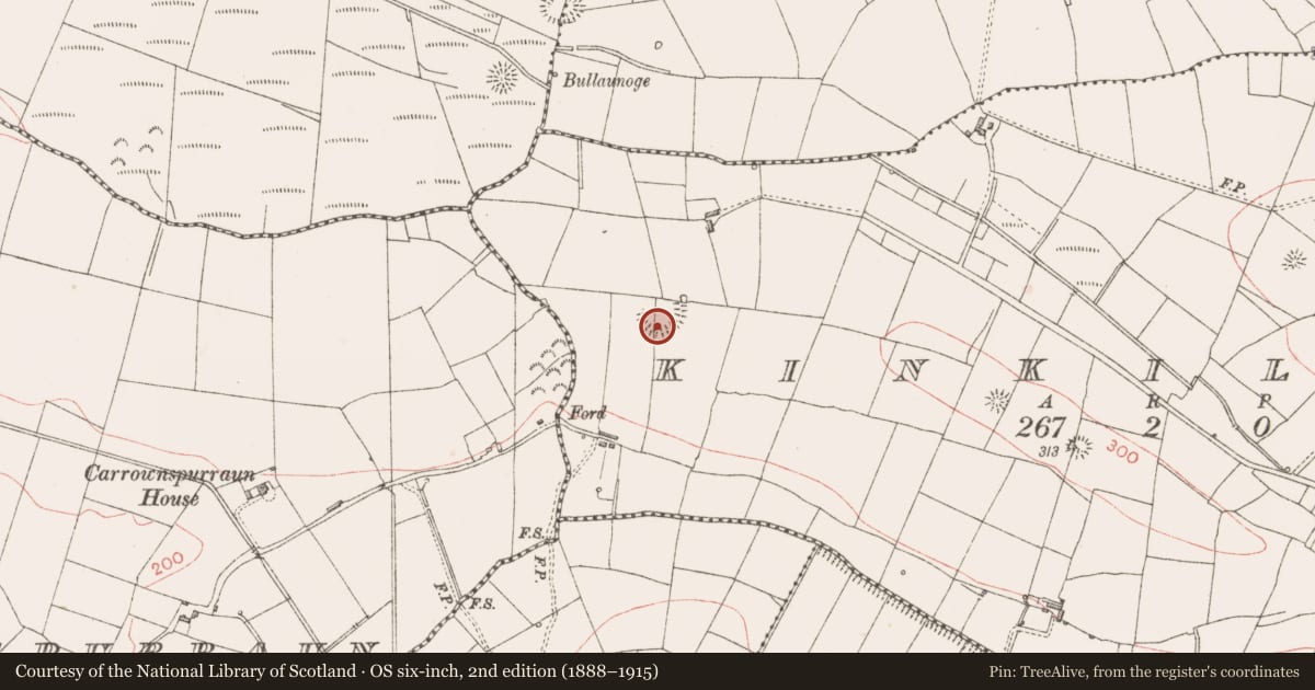 Ordnance Survey six-inch map, 2nd edition (1888–1915) covering the location of Ringfort - rath, Kinkillew, County Sligo, with a pin at the register's coordinates