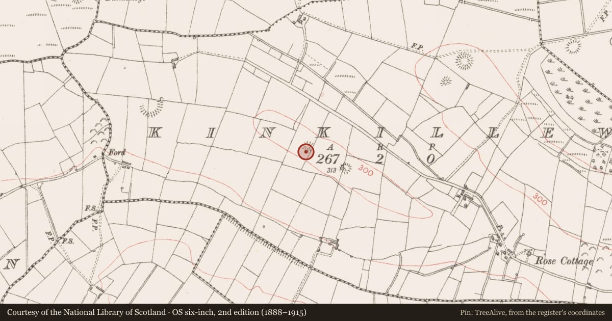 Ordnance Survey six-inch map, 2nd edition (1888–1915) covering the location of Ringfort - rath, Kinkillew, County Sligo, with a pin at the register's coordinates