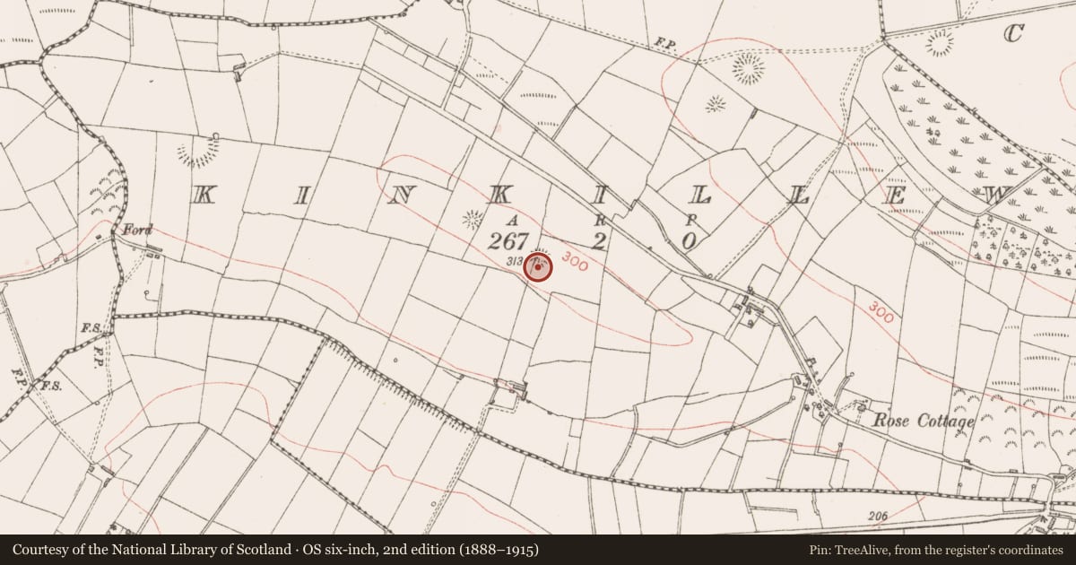 Ordnance Survey six-inch map, 2nd edition (1888–1915) covering the location of Ringfort - rath, Kinkillew, County Sligo, with a pin at the register's coordinates