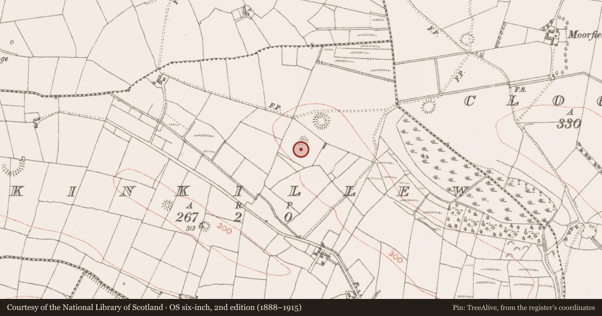 Ordnance Survey six-inch map, 2nd edition (1888–1915) covering the location of Enclosure, Kinkillew, County Sligo, with a pin at the register's coordinates