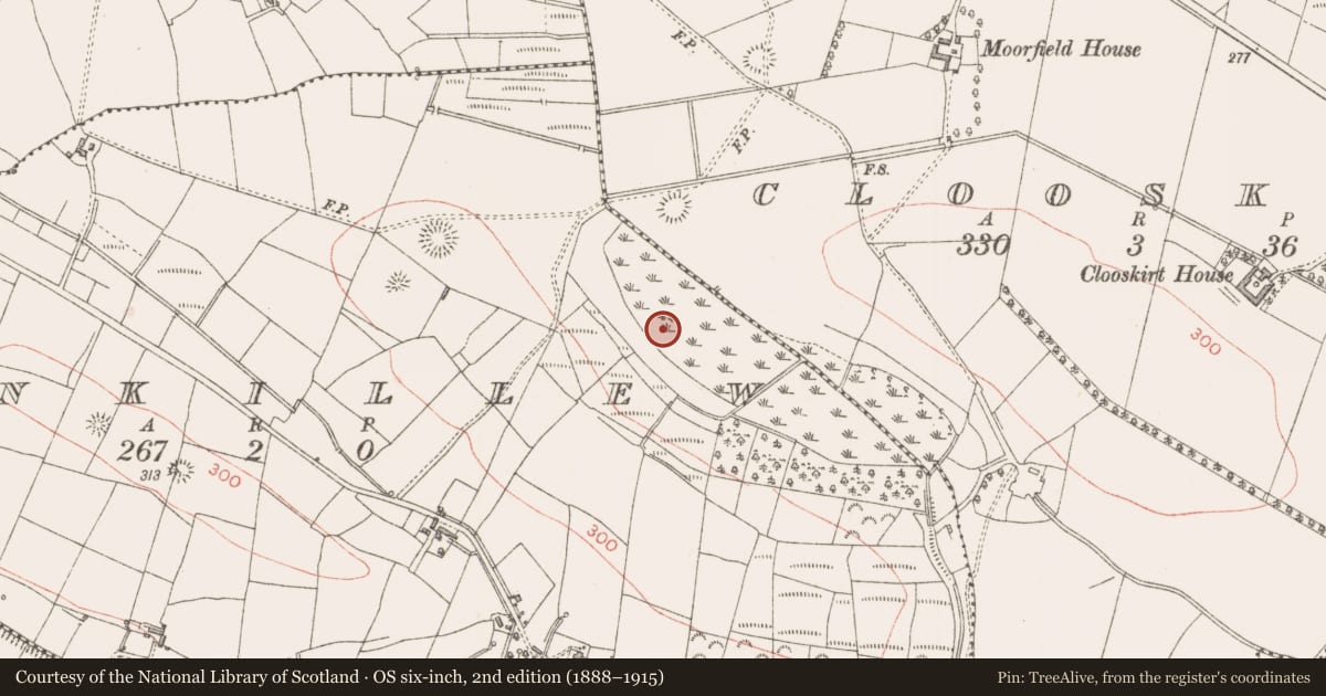 Ordnance Survey six-inch map, 2nd edition (1888–1915) covering the location of Crannog, Kinkillew, County Sligo, with a pin at the register's coordinates