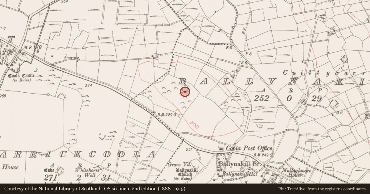 Ordnance Survey six-inch map, 2nd edition (1888–1915) covering the location of Ringfort - rath, Ballynakill, County Sligo, with a pin at the register's coordinates