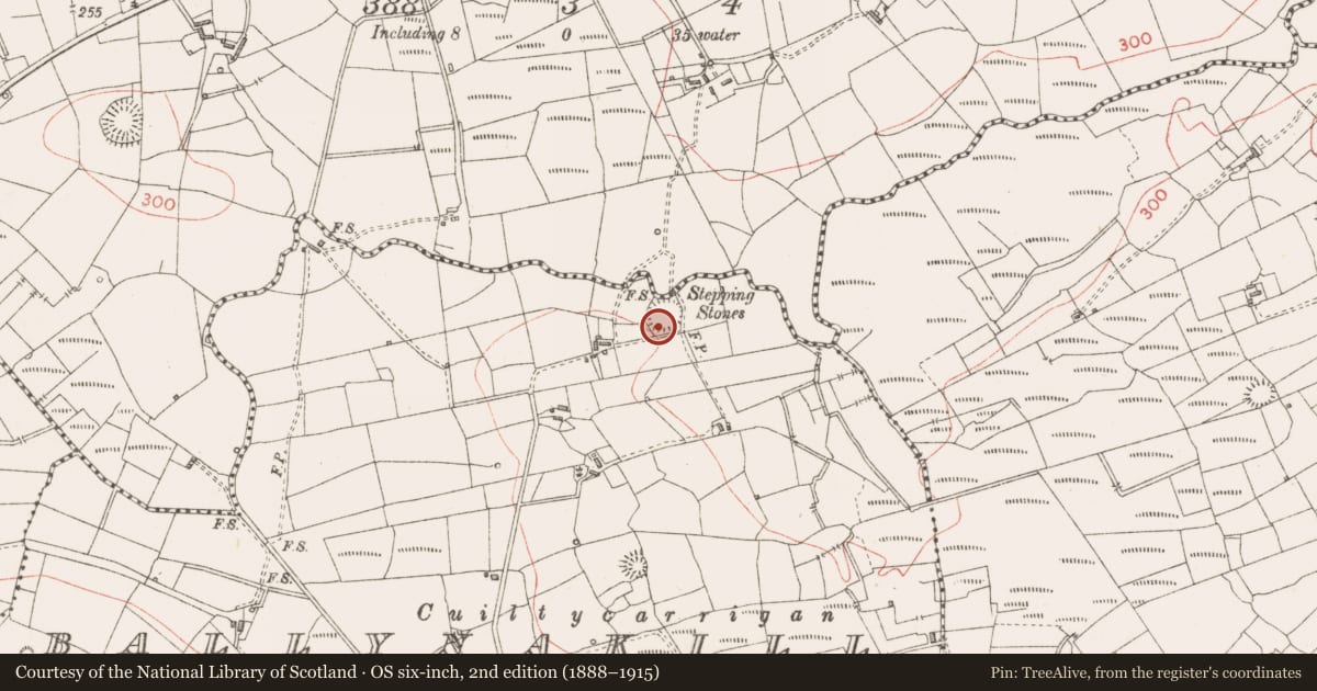 Ordnance Survey six-inch map, 2nd edition (1888–1915) covering the location of Ringfort - rath, Ballynakill, County Sligo, with a pin at the register's coordinates