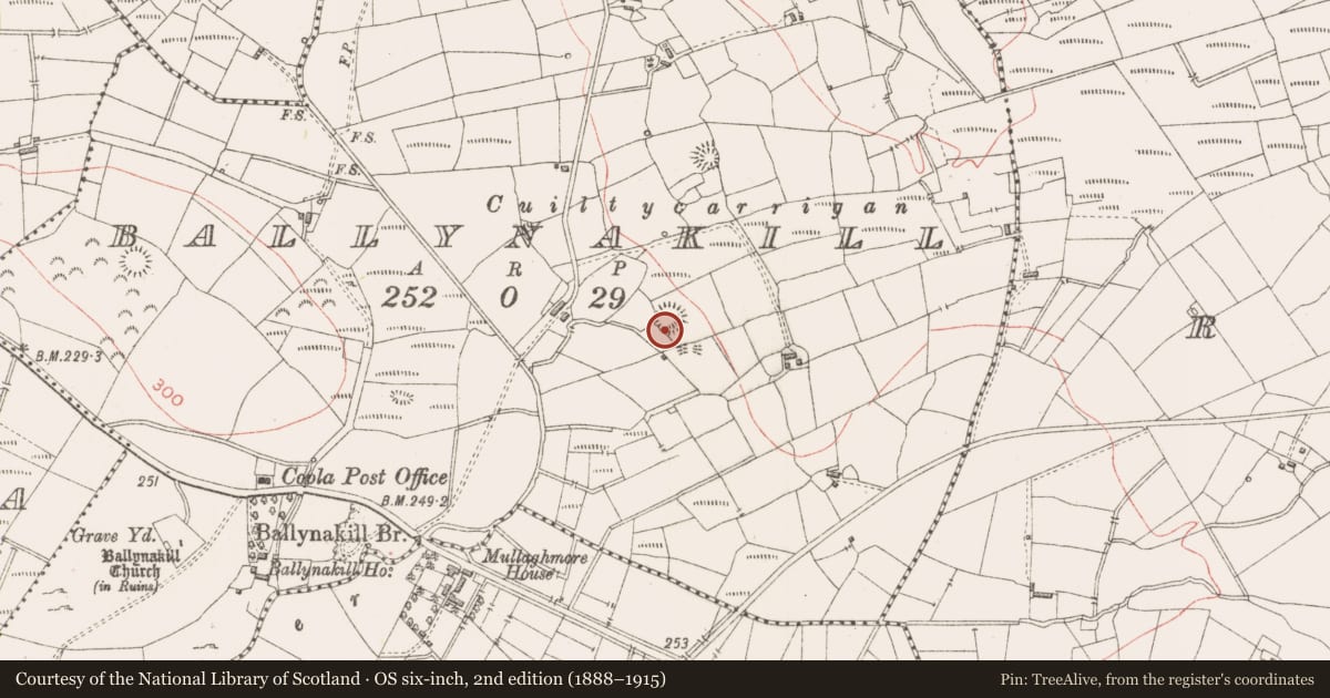Ordnance Survey six-inch map, 2nd edition (1888–1915) covering the location of Ringfort - rath, Ballynakill, County Sligo, with a pin at the register's coordinates