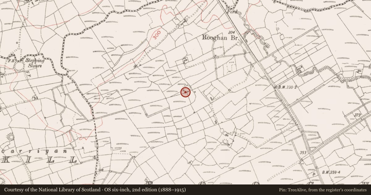 Ordnance Survey six-inch map, 2nd edition (1888–1915) covering the location of Ringfort - rath, Rooghan, County Sligo, with a pin at the register's coordinates