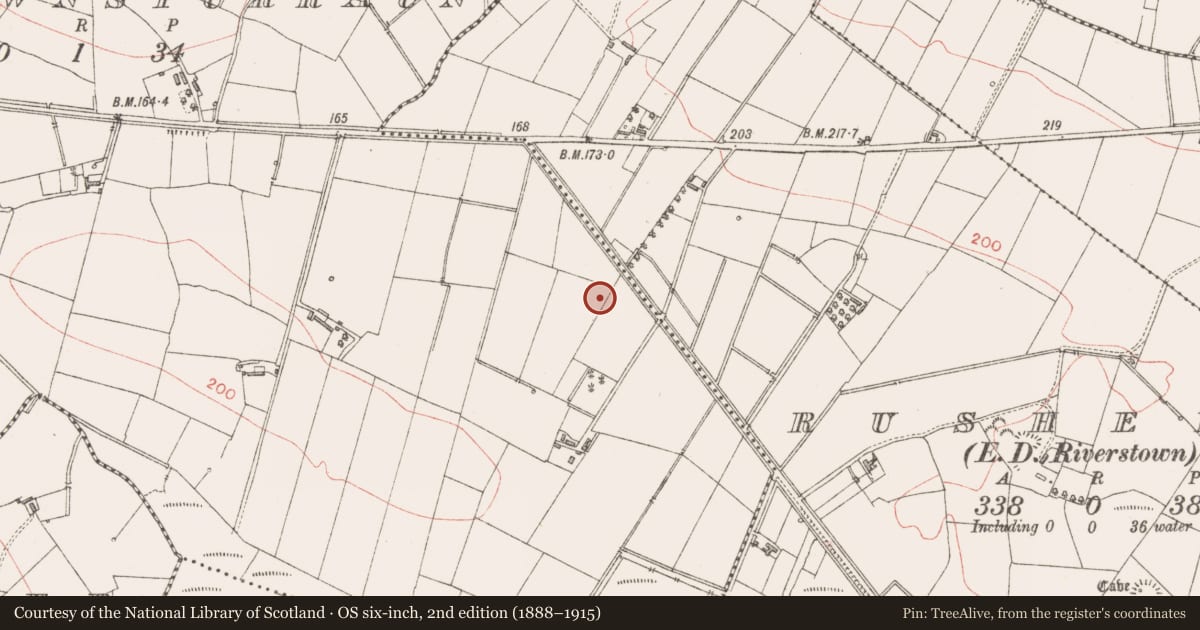 Ordnance Survey six-inch map, 2nd edition (1888–1915) covering the location of Ringfort - rath, Carrownspurraun, County Sligo, with a pin at the register's coordinates