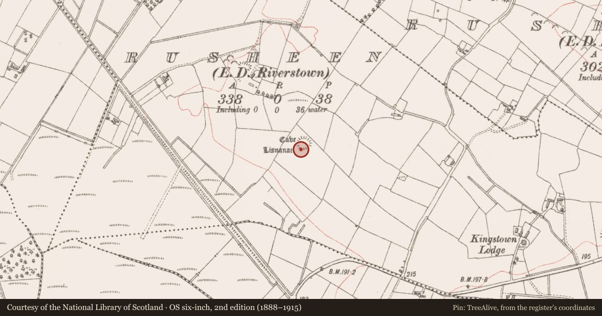 Ordnance Survey six-inch map, 2nd edition (1888–1915) covering the location of Ringfort - rath, Rusheen, County Sligo, with a pin at the register's coordinates
