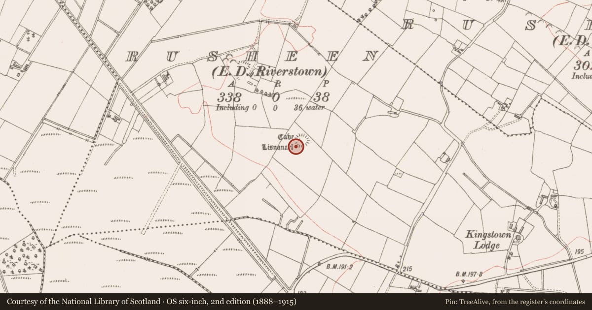Ordnance Survey six-inch map, 2nd edition (1888–1915) covering the location of Souterrain, Rusheen, County Sligo, with a pin at the register's coordinates