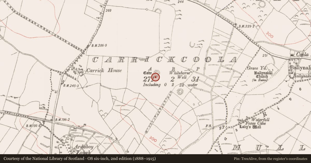 Ordnance Survey six-inch map, 2nd edition (1888–1915) covering the location of Ringfort - rath, Carrickcoola, County Sligo, with a pin at the register's coordinates