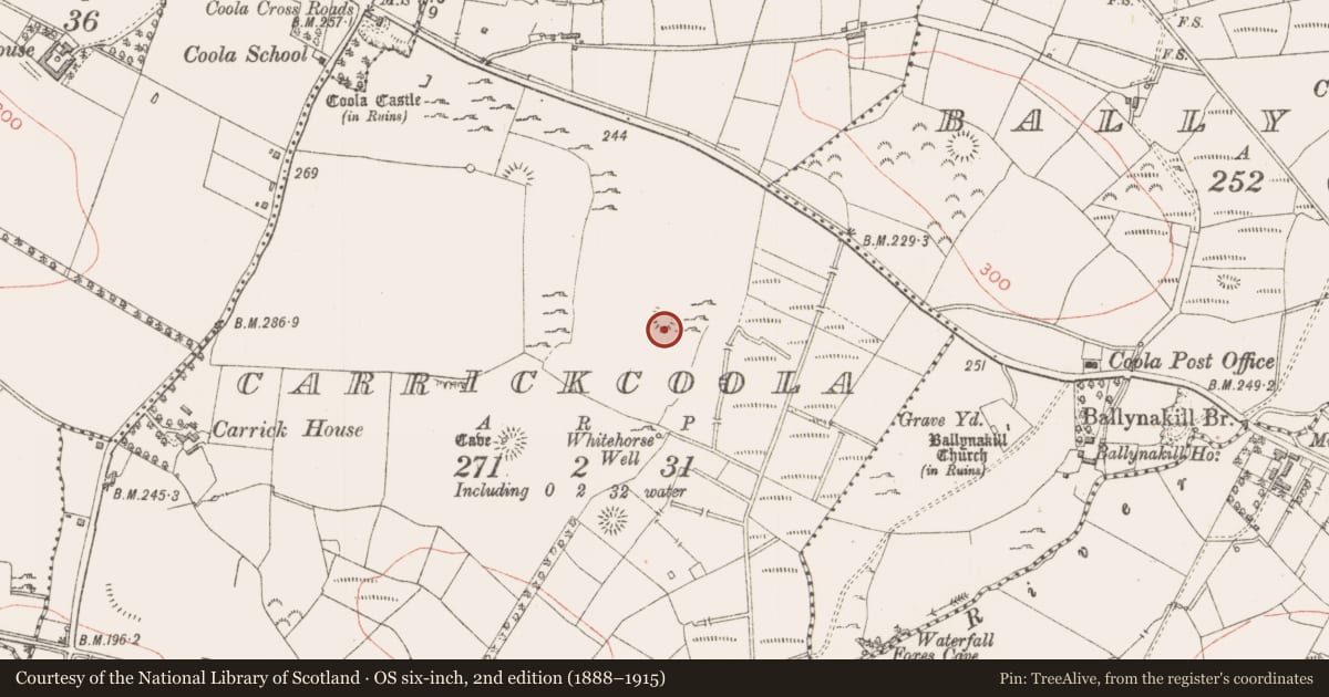 Ordnance Survey six-inch map, 2nd edition (1888–1915) covering the location of Ringfort - cashel, Carrickcoola, County Sligo, with a pin at the register's coordinates
