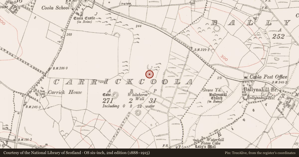 Ordnance Survey six-inch map, 2nd edition (1888–1915) covering the location of Enclosure, Carrickcoola, County Sligo, with a pin at the register's coordinates