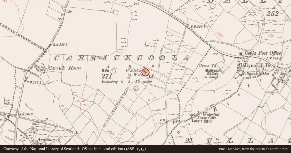 Ordnance Survey six-inch map, 2nd edition (1888–1915) covering the location of Ritual site - holy well, Carrickcoola, County Sligo, with a pin at the register's coordinates