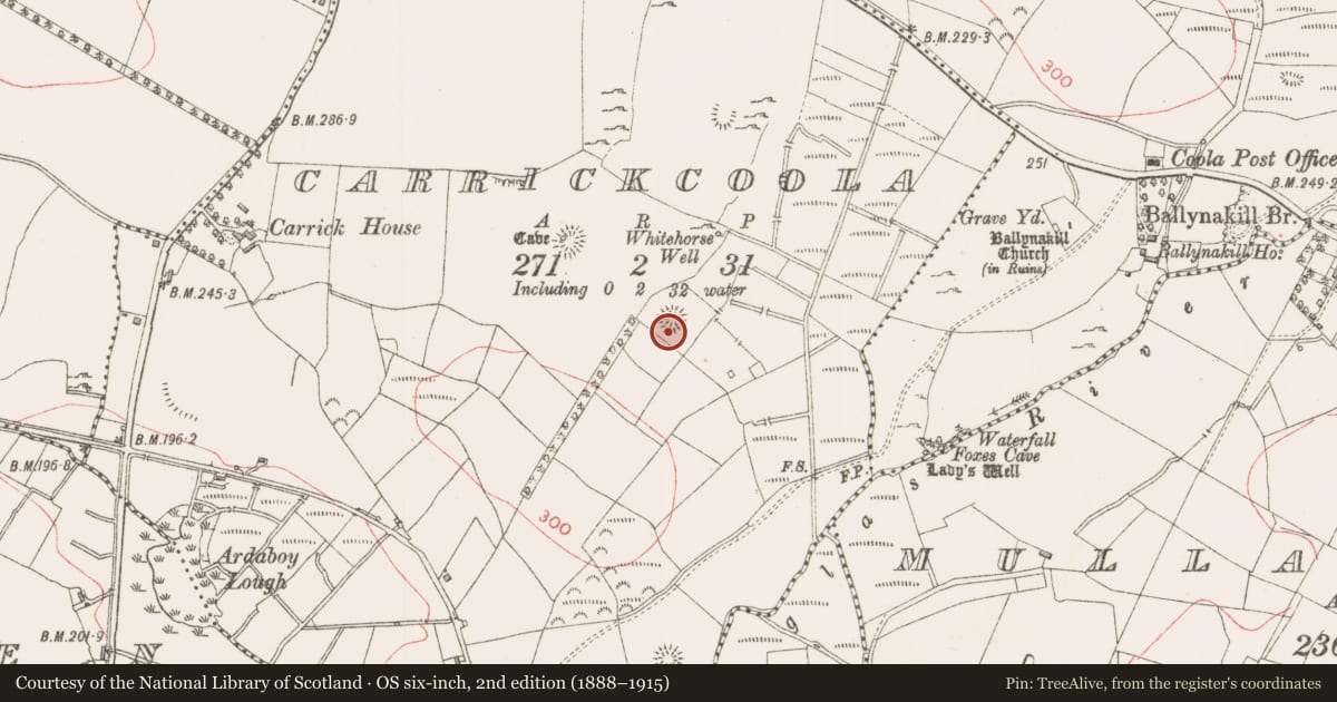Ordnance Survey six-inch map, 2nd edition (1888–1915) covering the location of Ringfort - rath, Carrickcoola, County Sligo, with a pin at the register's coordinates