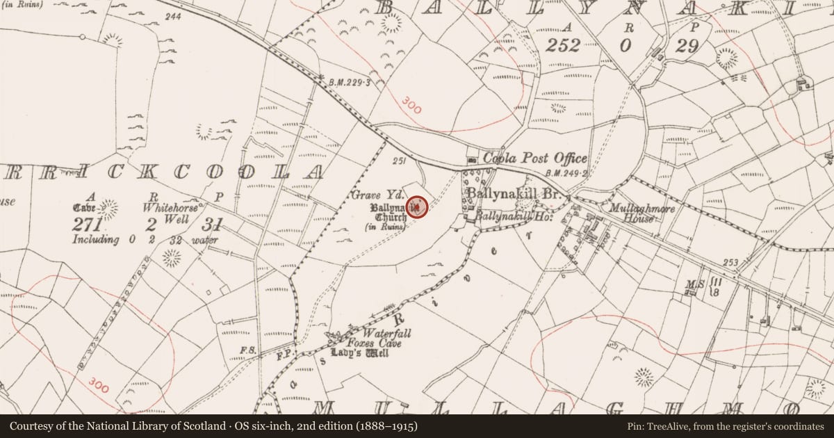 Ordnance Survey six-inch map, 2nd edition (1888–1915) covering the location of Architectural fragment, Ballynakill, County Sligo, with a pin at the register's coordinates
