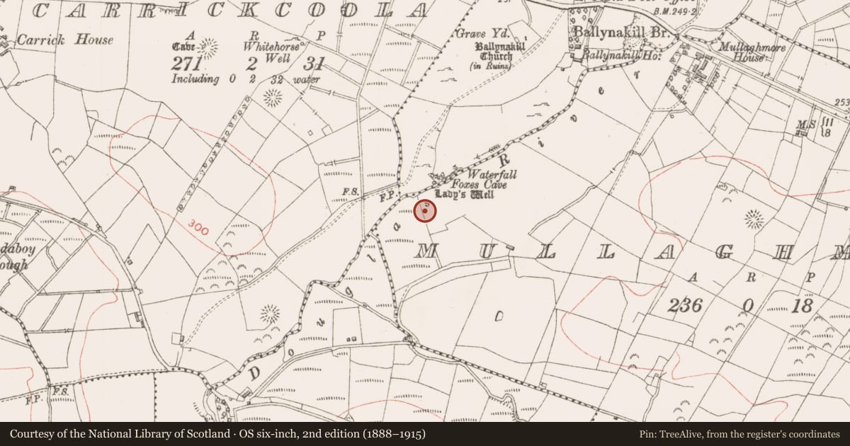 Ordnance Survey six-inch map, 2nd edition (1888–1915) covering the location of Kiln - lime, Mullaghmore, County Sligo, with a pin at the register's coordinates